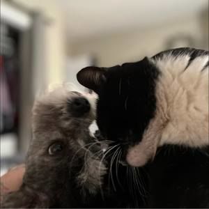 Meet your Posher, Tracy